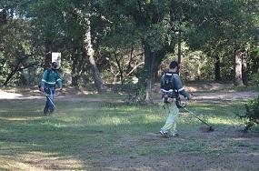 Operativo de mantenimiento ambiental en el Parque valos